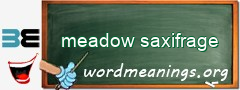 WordMeaning blackboard for meadow saxifrage